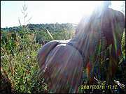 lasueltas-0265.JPG
